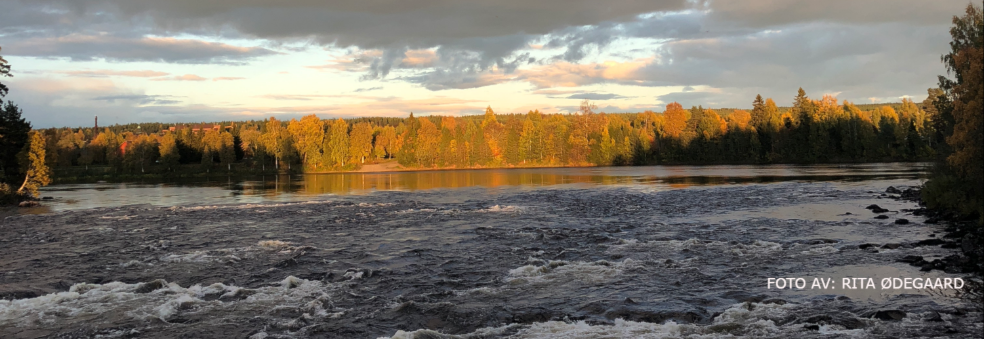 Ti på Topp Elverum